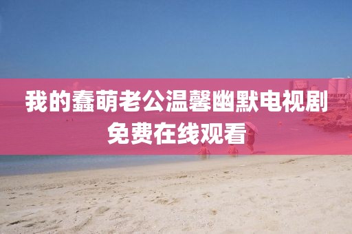 我的蠢萌老公溫馨幽默電視劇免費在線觀看