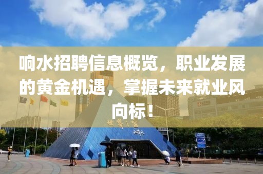 響水招聘信息概覽，職業(yè)發(fā)展的黃金機遇，掌握未來就業(yè)風向標！