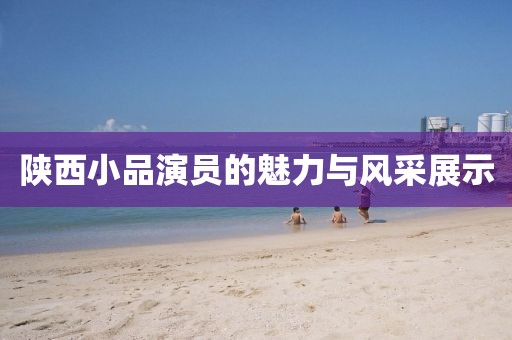 陜西小品演員的魅力與風(fēng)采展示