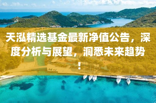 天泓精選基金最新凈值公告，深度分析與展望，洞悉未來趨勢！