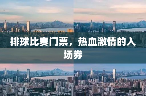 排球比賽門(mén)票，熱血激情的入場(chǎng)券