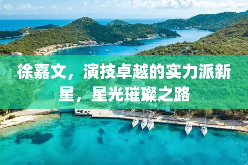 徐嘉文，演技卓越的實(shí)力派新星，星光璀璨之路
