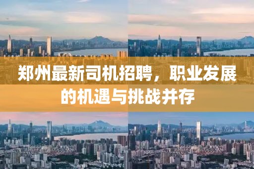 鄭州最新司機(jī)招聘，職業(yè)發(fā)展的機(jī)遇與挑戰(zhàn)并存