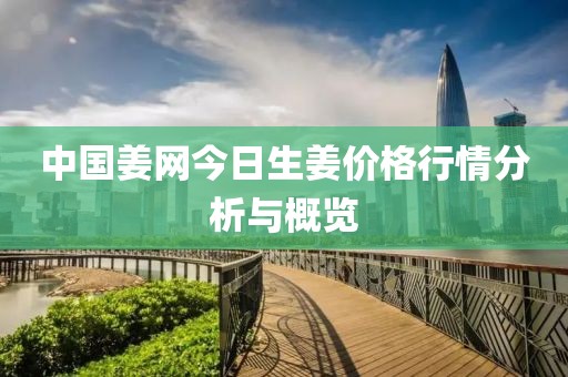 中國姜網(wǎng)今日生姜價格行情分析與概覽