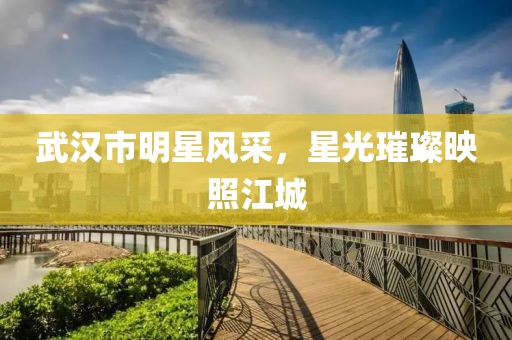 武漢市明星風采，星光璀璨映照江城