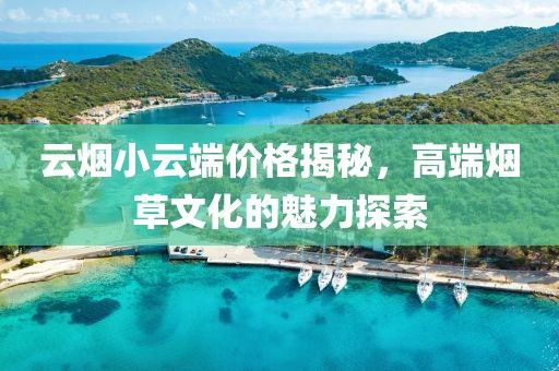 云煙小云端價格揭秘，高端煙草文化的魅力探索