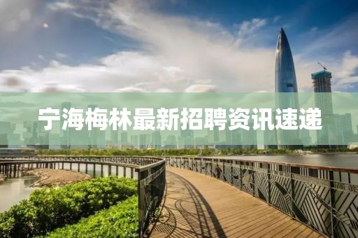 寧海梅林最新招聘資訊速遞