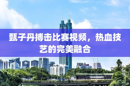 甄子丹搏擊比賽視頻，熱血技藝的完美融合