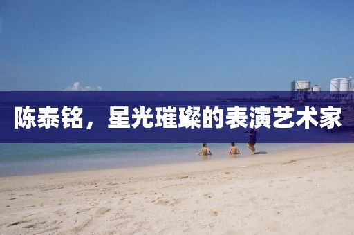 陳泰銘，星光璀璨的表演藝術(shù)家