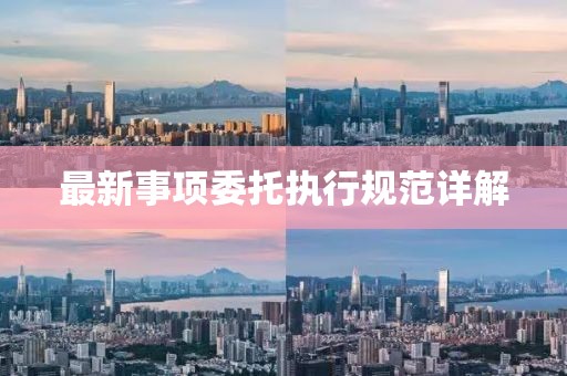 最新事項(xiàng)委托執(zhí)行規(guī)范詳解