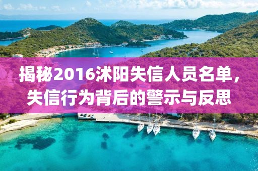 揭秘2016沭陽失信人員名單，失信行為背后的警示與反思
