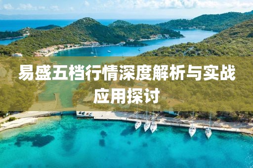 易盛五檔行情深度解析與實(shí)戰(zhàn)應(yīng)用探討