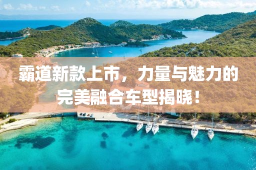 霸道新款上市，力量與魅力的完美融合車型揭曉！