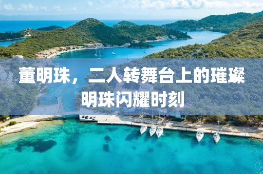 董明珠，二人轉(zhuǎn)舞臺上的璀璨明珠閃耀時刻