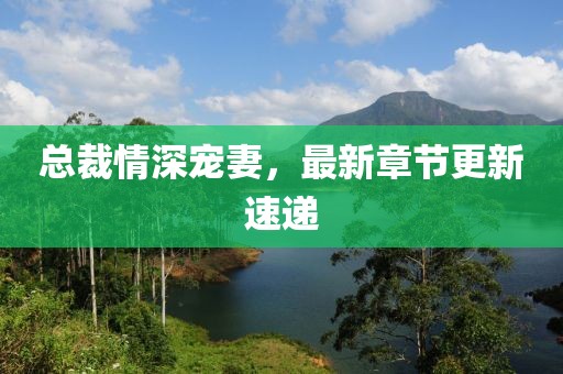 總裁情深寵妻，最新章節(jié)更新速遞