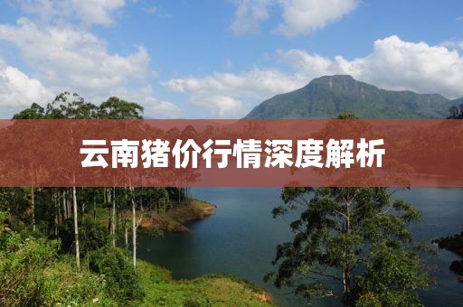 云南豬價行情深度解析