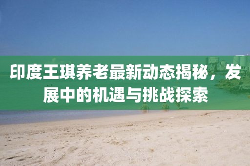 印度王琪養(yǎng)老最新動態(tài)揭秘，發(fā)展中的機遇與挑戰(zhàn)探索