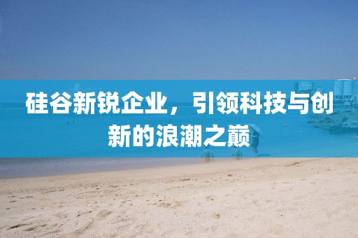 硅谷新銳企業(yè)，引領(lǐng)科技與創(chuàng)新的浪潮之巔