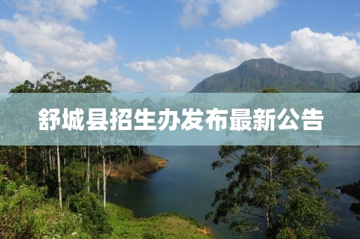 舒城縣招生辦發(fā)布最新公告