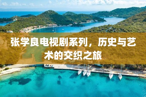 張學(xué)良電視劇系列，歷史與藝術(shù)的交織之旅
