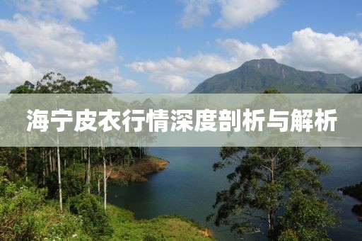 海寧皮衣行情深度剖析與解析