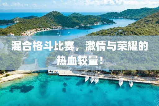 混合格斗比賽，激情與榮耀的熱血較量！
