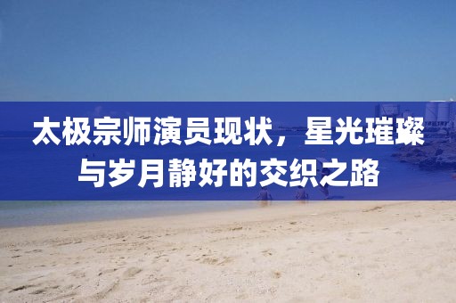 太極宗師演員現(xiàn)狀，星光璀璨與歲月靜好的交織之路