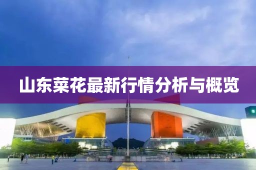 山東菜花最新行情分析與概覽