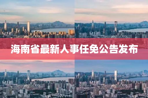 海南省最新人事任免公告發(fā)布
