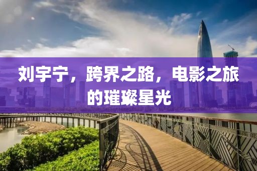 劉宇寧，跨界之路，電影之旅的璀璨星光