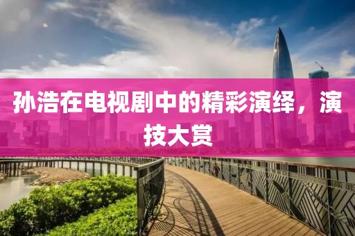孫浩在電視劇中的精彩演繹，演技大賞