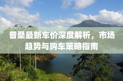 普桑最新車價深度解析，市場趨勢與購車策略指南