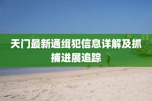 天門最新通緝犯信息詳解及抓捕進(jìn)展追蹤