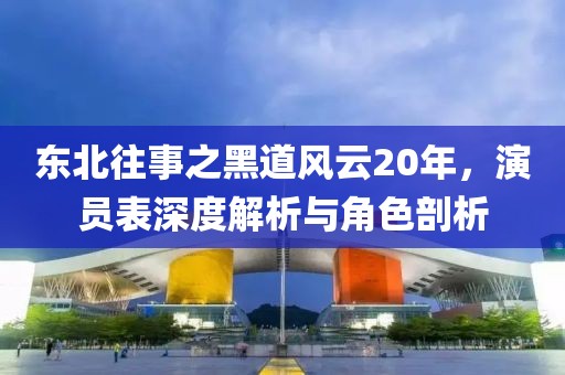 東北往事之黑道風(fēng)云20年，演員表深度解析與角色剖析