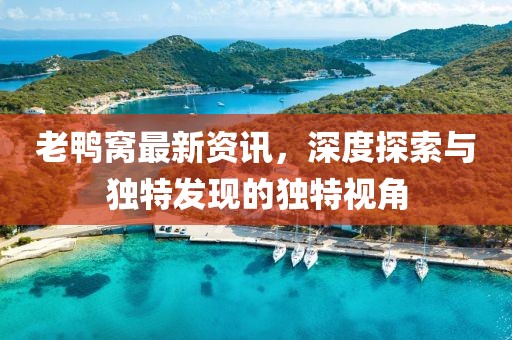 老鴨窩最新資訊，深度探索與獨特發(fā)現(xiàn)的獨特視角