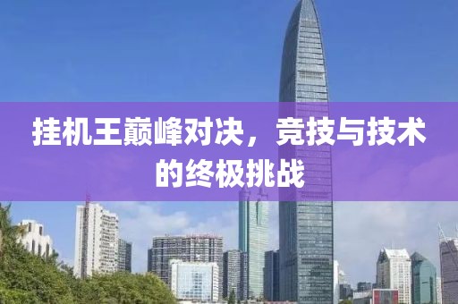 掛機(jī)王巔峰對(duì)決，競(jìng)技與技術(shù)的終極挑戰(zhàn)