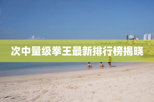次中量級(jí)拳王最新排行榜揭曉