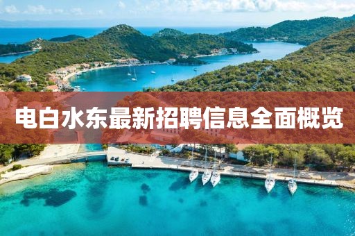 電白水東最新招聘信息全面概覽