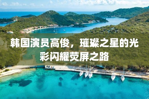 韓國演員高俊，璀璨之星的光彩閃耀熒屏之路