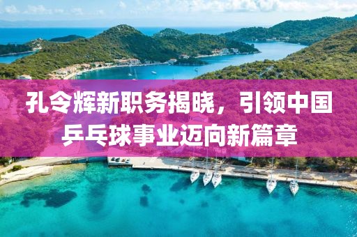 孔令輝新職務(wù)揭曉，引領(lǐng)中國乒乓球事業(yè)邁向新篇章