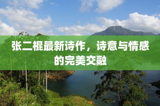 張二棍最新詩作，詩意與情感的完美交融