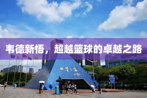 韋德新悟，超越籃球的卓越之路