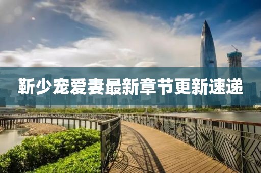 靳少寵愛妻最新章節(jié)更新速遞