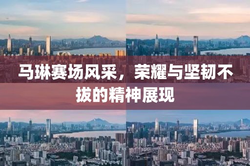 馬琳賽場風(fēng)采，榮耀與堅韌不拔的精神展現(xiàn)