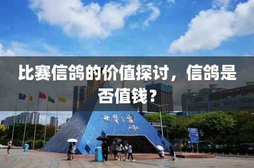 比賽信鴿的價(jià)值探討，信鴿是否值錢(qián)？