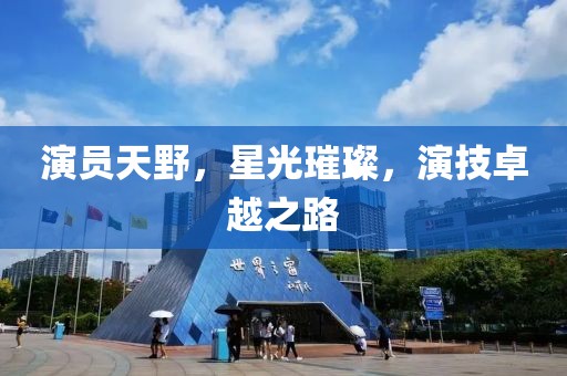 演員天野，星光璀璨，演技卓越之路