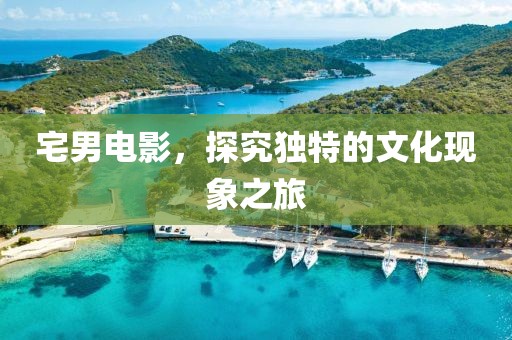 宅男電影，探究獨(dú)特的文化現(xiàn)象之旅