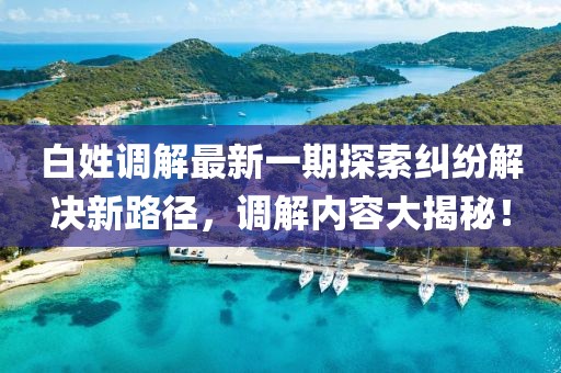 白姓調(diào)解最新一期探索糾紛解決新路徑，調(diào)解內(nèi)容大揭秘！