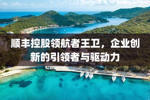 順豐控股領(lǐng)航者王衛(wèi)，企業(yè)創(chuàng)新的引領(lǐng)者與驅(qū)動(dòng)力
