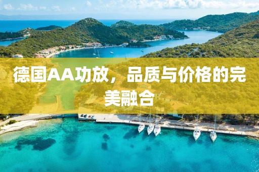 德國AA功放，品質(zhì)與價格的完美融合